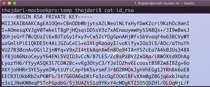 Contents of the private SSH key (Partial sample)